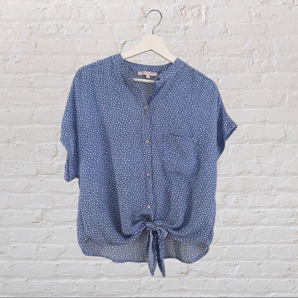 Olivaceaous Light Blue Polka Dot Top